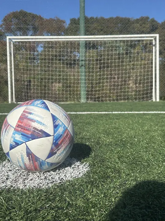 Pelota frente al arco de la cancha